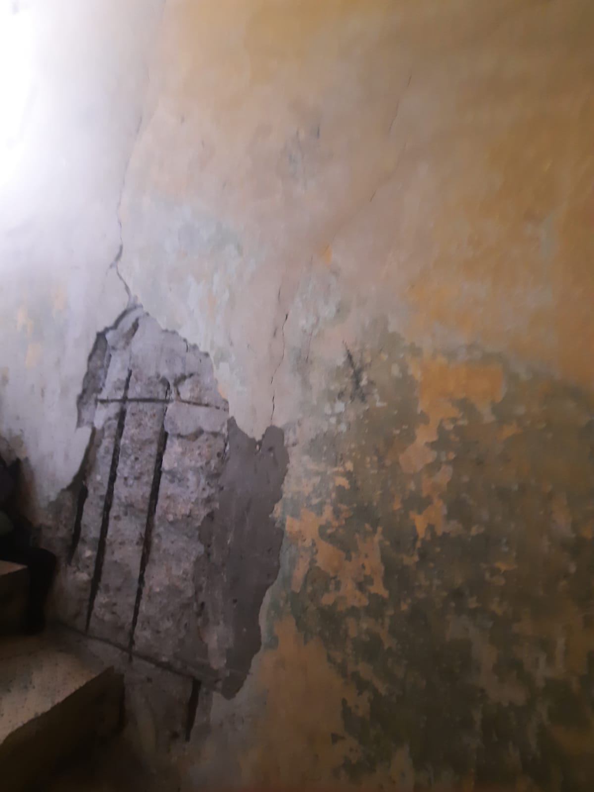 WhatsApp Image 2022-01-03 at 12.22.58 PM.jpeg